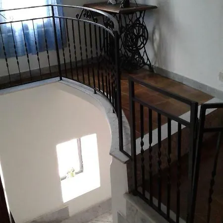 Rosa In Fiore Marsico Nuovo